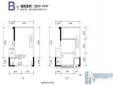 奥园峯荟_2室1厅1卫 建面53平米