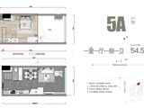 天下云南空港城_1室1厅1卫 建面54平米