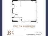 维嘉广场商务公馆_B户型 建面106平米